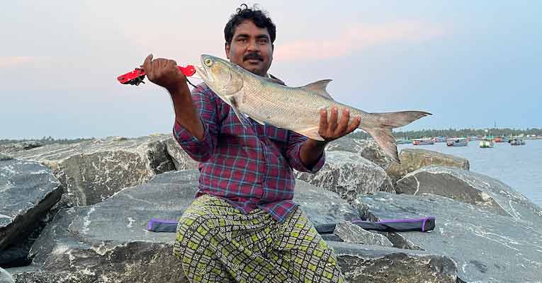 Indian Salmon Fishing ( Vazhmeen )